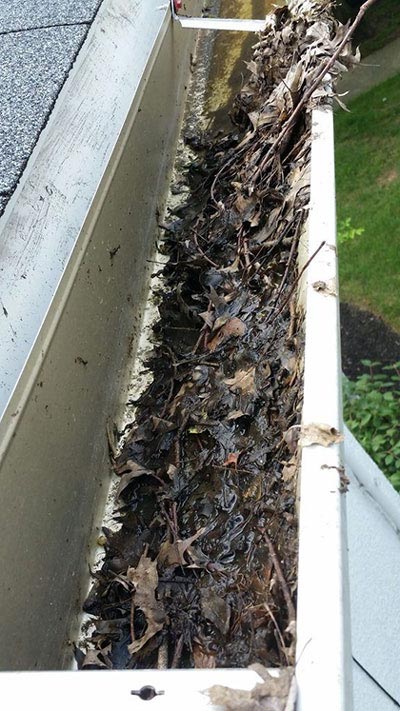 Fall. . . When Clogged Gutters Arrive