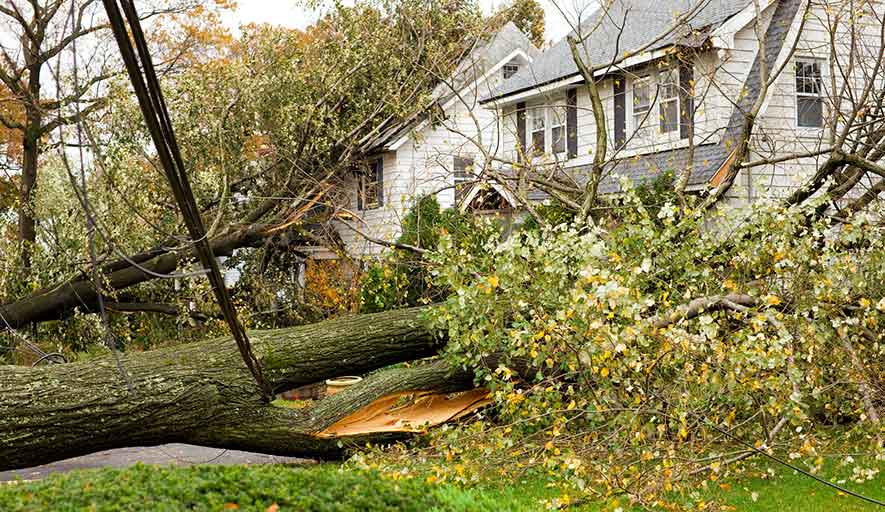 Storm Damage Restoration Services