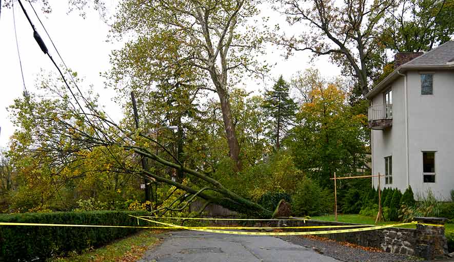 Wind Damage Restoration