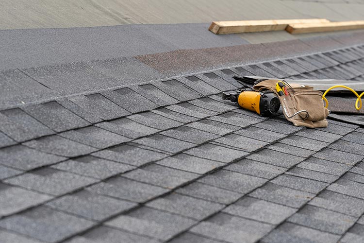 Roof Repair Services