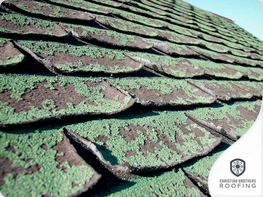 4371-1630568646-Mold-damaged-roof-in-need-of-roof-repair.jpg