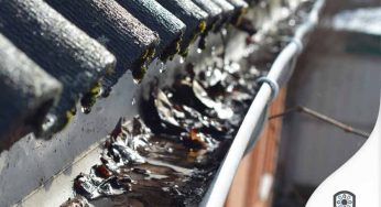 What You Need to Know About Gutter Sludge, Slime and Silt