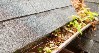 How Does Dirt Even Get Into My Gutters?