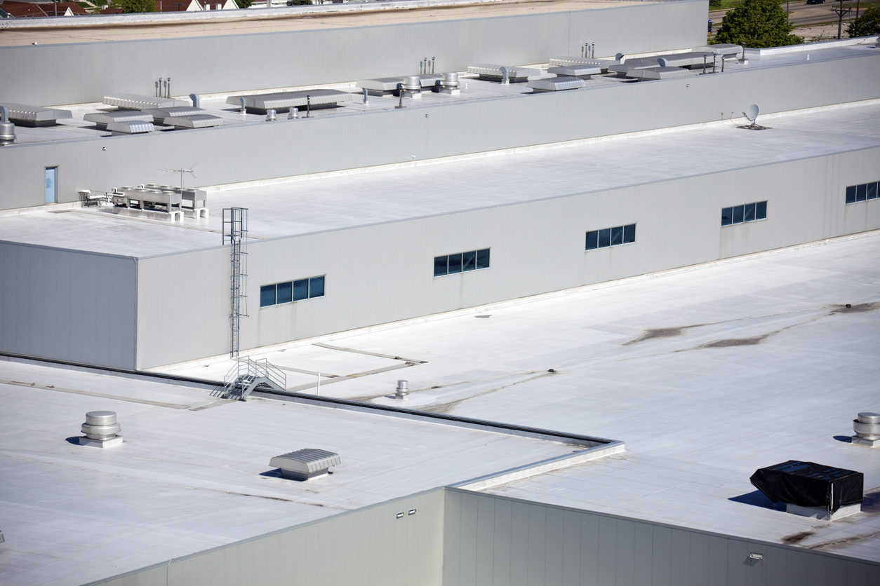 gallery_white-roof_1748914031.jpg